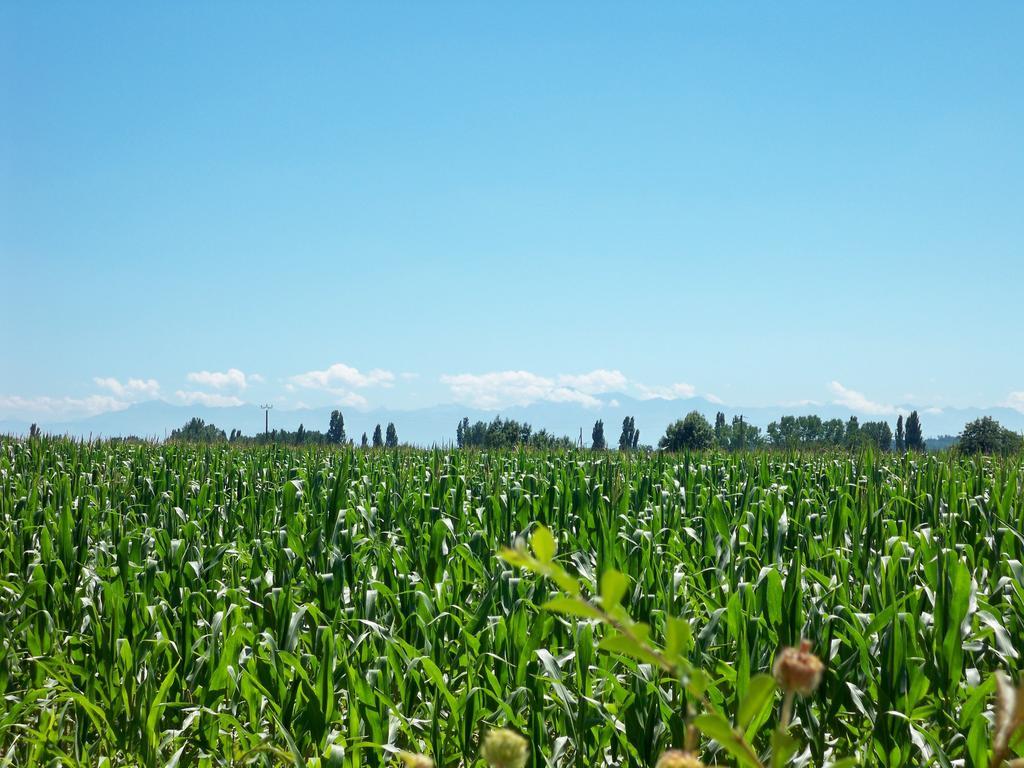 Gite 3 Logis Gascons Saint-Justin  Camera foto
